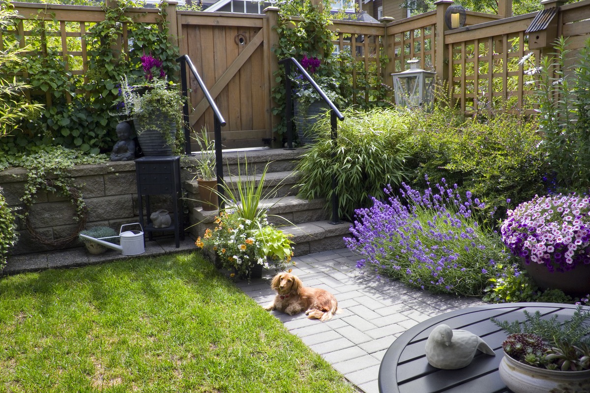 Comment créer une allée de jardin ? Espace Maison